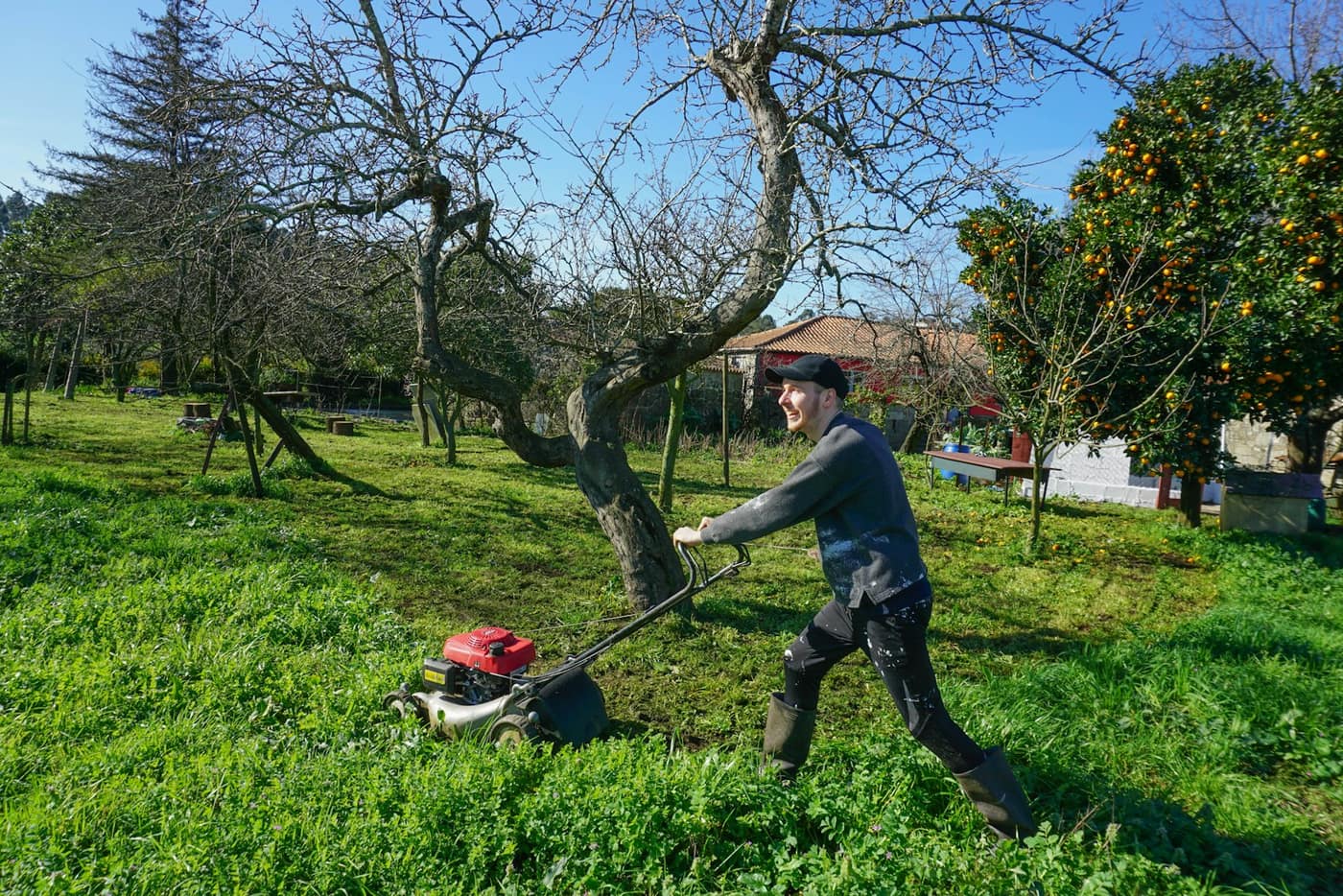 A landscaper mowing a green lawn